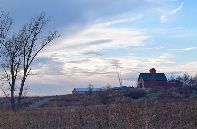 Peck Farm - @yoga.gal